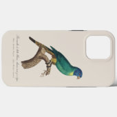 Regenbooglori juveniel Trichoglossus moluccanus Case-Mate iPhone Case (Achterkant (horizontaal))