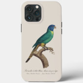 Regenbooglori juveniel Trichoglossus moluccanus Case-Mate iPhone Case (Achterkant)