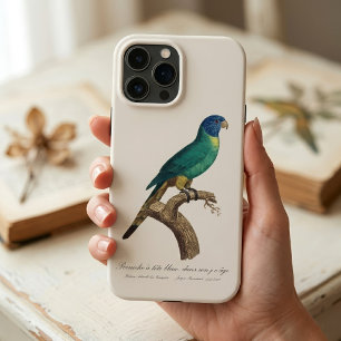 Regenbooglori juveniel Trichoglossus moluccanus Case-Mate iPhone Case