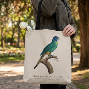 Regenbooglori juveniel Trichoglossus moluccanus Tote Bag