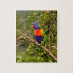 Regenbooglori Legpuzzel