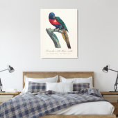 Regenbooglori (mannetje), Trichoglossus Moluccanus Canvas Afdruk (Insitu (Slaapkamer))