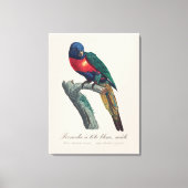 Regenbooglori (mannetje), Trichoglossus Moluccanus Canvas Afdruk (Voorkant)