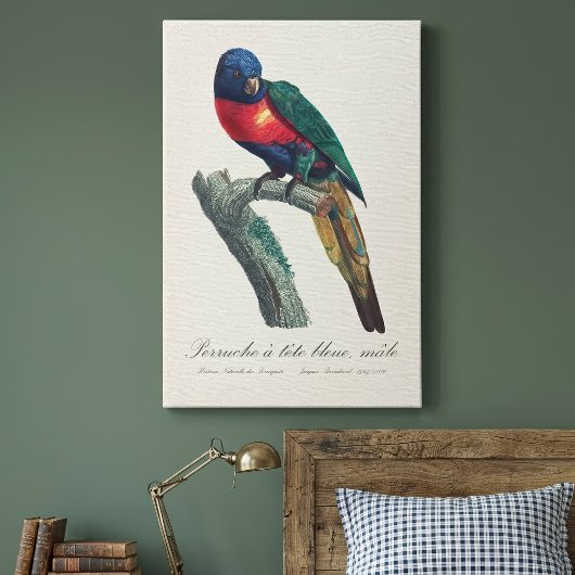 Regenbooglori (mannetje), Trichoglossus Moluccanus Canvas Afdruk