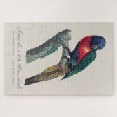 Regenbooglori (mannetje), Trichoglossus Moluccanus Legpuzzel (Horizontaal)