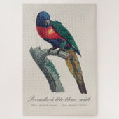 Regenbooglori (mannetje), Trichoglossus Moluccanus Legpuzzel (Verticaal)