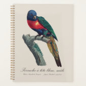 Regenbooglori (mannetje), Trichoglossus Moluccanus Planner (Voorkant)