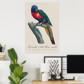 Regenbooglori (mannetje), Trichoglossus Moluccanus Poster (Thuiskantoor)