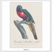 Regenbooglori (mannetje), Trichoglossus Moluccanus Sticker (Vel)