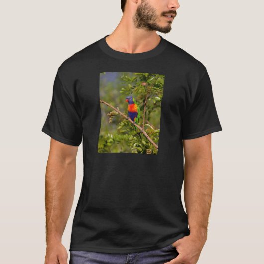 Regenbooglori T-shirt (Voorkant)