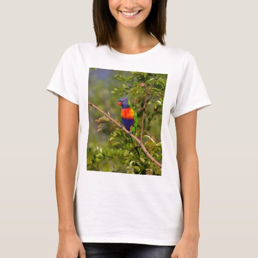 Regenbooglori T-shirt (Voorkant)