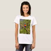Regenbooglori T-shirt (Voorkant volledig)