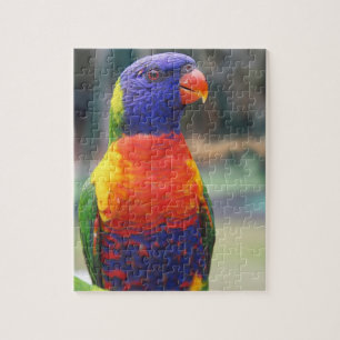 Regenbooglori (Trichoglossus haematodus 2 Legpuzzel