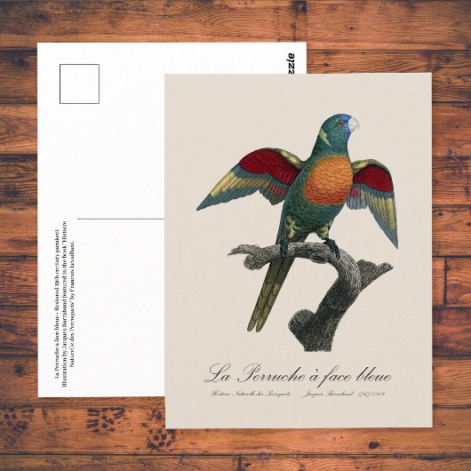 Regenbooglori, Trichoglossus haematodus Briefkaart