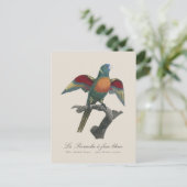 Regenbooglori, Trichoglossus haematodus Briefkaart (Staand voorkant)