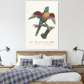 Regenbooglori, Trichoglossus haematodus Canvas Afdruk (Insitu (Slaapkamer))