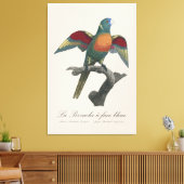 Regenbooglori, Trichoglossus haematodus Canvas Afdruk (Insitu (Woonkamer))