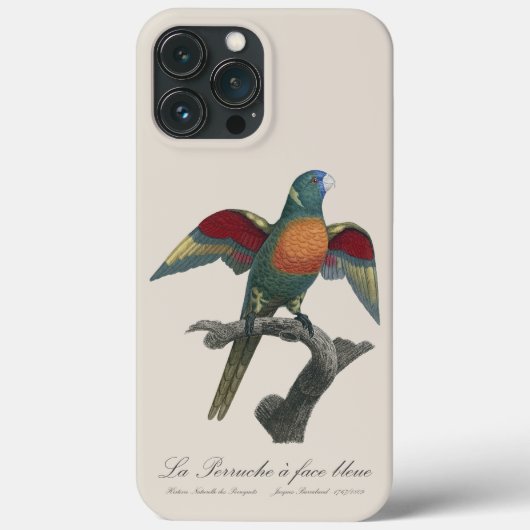 Regenbooglori, Trichoglossus haematodus Case-Mate iPhone Case (Achterkant)