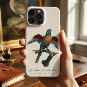 Regenbooglori, Trichoglossus haematodus Case-Mate iPhone Case