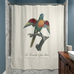 Regenbooglori, Trichoglossus haematodus Douchegordijn