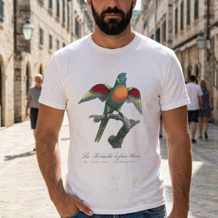 Regenbooglori, Trichoglossus haematodus T-shirt