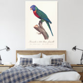 Regenbooglori vrouwtje, Trichoglossus moluccanus Canvas Afdruk (Insitu (Slaapkamer))
