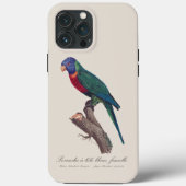 Regenbooglori vrouwtje, Trichoglossus moluccanus Case-Mate iPhone Case (Achterkant)