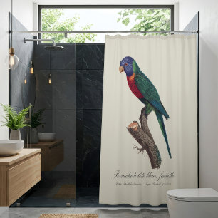 Regenbooglori vrouwtje, Trichoglossus moluccanus Douchegordijn