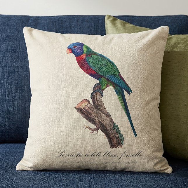 Regenbooglori vrouwtje, Trichoglossus moluccanus Kussen (Perruche a tete bleue, femelle / Rainbow lorikeet, female. Throw Pillow)