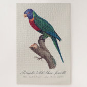 Regenbooglori vrouwtje, Trichoglossus moluccanus Legpuzzel (Verticaal)