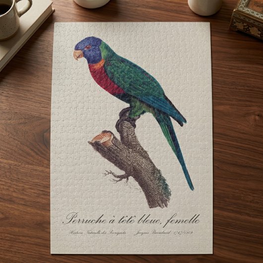 Regenbooglori vrouwtje, Trichoglossus moluccanus Legpuzzel