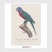 Regenbooglori vrouwtje, Trichoglossus moluccanus Sticker (Vel)