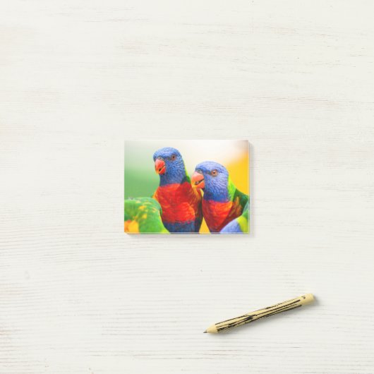 Regenbooglorikeets Post-it® Notes (Op bureau)
