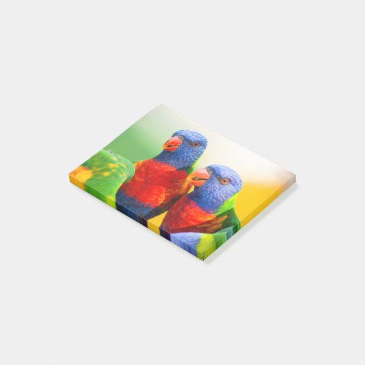 Regenbooglorikeets Post-it® Notes (Schuin)
