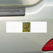 Regenboogloriket Bumpersticker (Op auto)