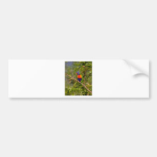 Regenboogloriket Bumpersticker