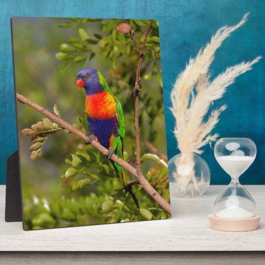 Regenboogloriket Fotoplaat (Zijkant)