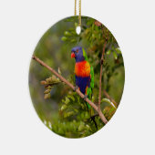 Regenboogloriket Keramisch Ornament (Rechts)