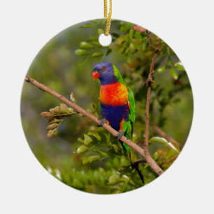 Regenboogloriket Keramisch Ornament