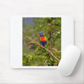 Regenboogloriket Muismat (Met muis)
