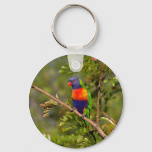 Regenboogloriket Sleutelhanger