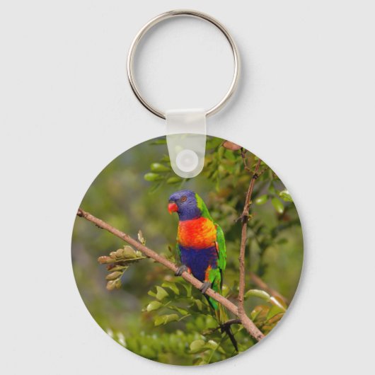 Regenboogloriket Sleutelhanger (Voorkant)