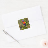 Regenboogloriket Vierkante Sticker (Envelop)