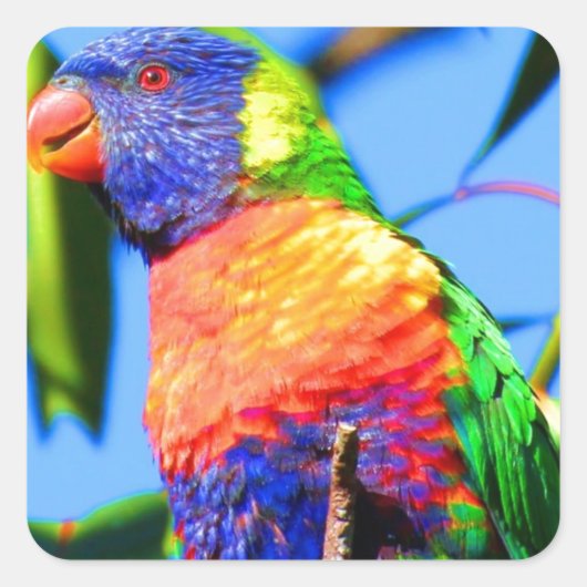 regenboogloriket vierkante sticker (Voorkant)