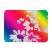 Regenboogmazen Magneet (Horizontaal)