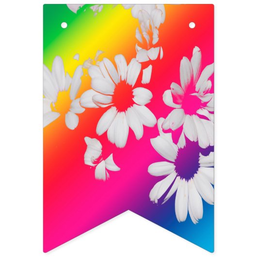 Regenboogmazen Vlaggetjes (Tweede vlag)