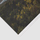 Regenboogoceaan 20x30 ontkoppeling tissuepapier (Detail)