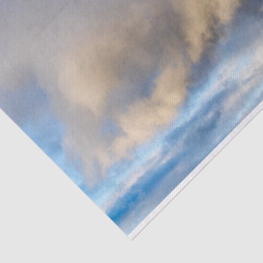 regenboogopstand tissuepapier (Detail)