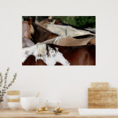 Regenboogpaarden Poster (Keuken)