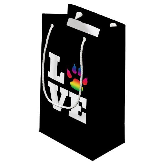 Regenboogpag Klein Cadeauzakje (Achterkant Gekanteld)